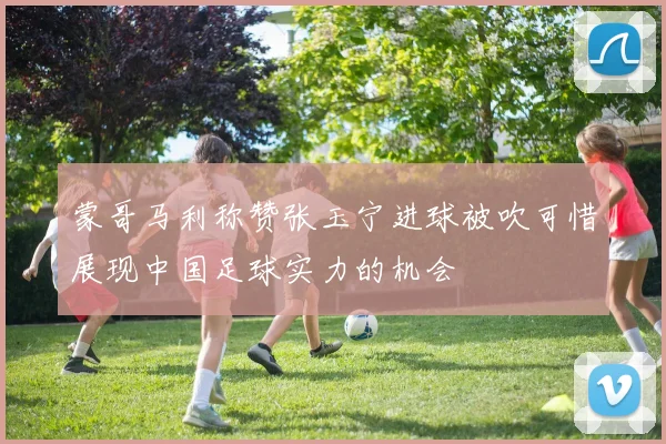 蒙哥马利称赞张玉宁进球被吹可惜展现中国足球实力的机会
