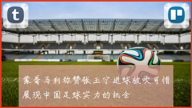 蒙哥马利称赞张玉宁进球被吹可惜展现中国足球实力的机会